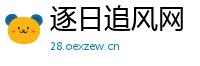 逐日追风网
